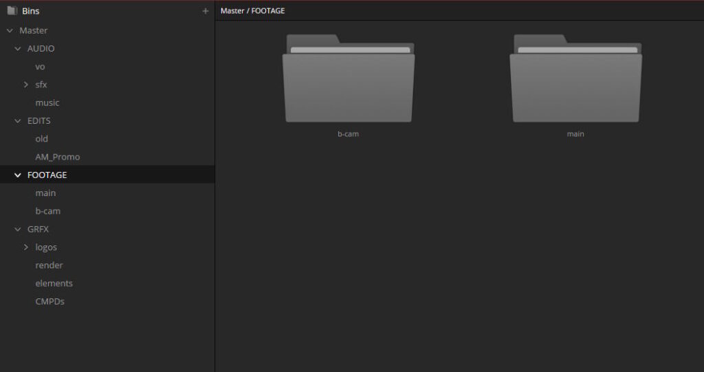 Das Bild zeigt eine Standard-Ordnerstruktur in Resolve. AUDIO, EDITS, FOOTAGE und GRAFX mit jeweils kleineren Unterordnern.